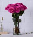 Arranjo de Rosas na Costeira em Florianópolis