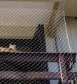 Tela de Proteção para Varanda de Apartamento no Carvoeira em Florianópolis