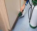 Dedetização de Apartamento Zona Leste