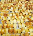 Salgadinhos de Festa 